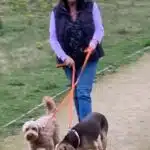 Jayne Cares - best dog walker in Sutton Valence