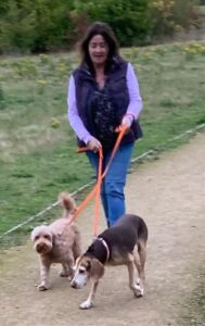 Jayne Cares dog walking in Hollingbourne